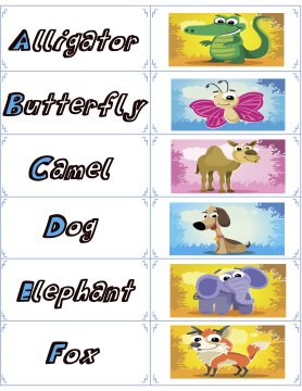 animal flash cards 1