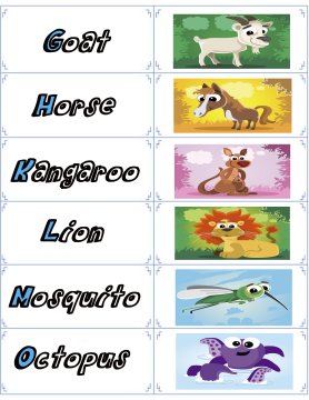 animal flash cards 2