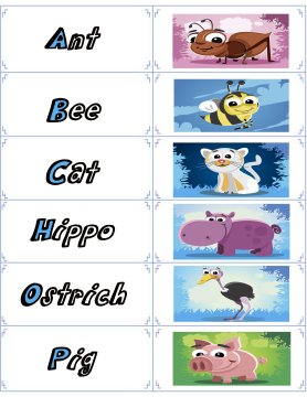 animal flash cards 4