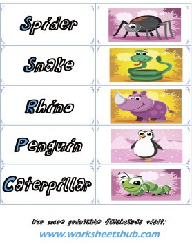 animal flash cards 5