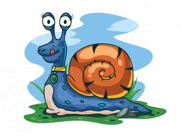 s letter snail s letter
